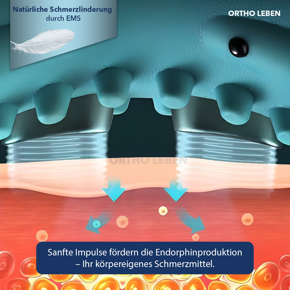 OrthoNeck Pro - Nackendehner