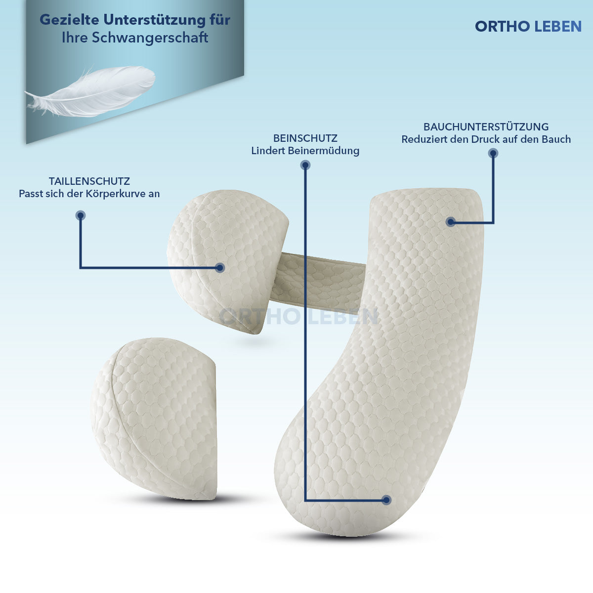 BellyNest - Schwangerschafftskissen