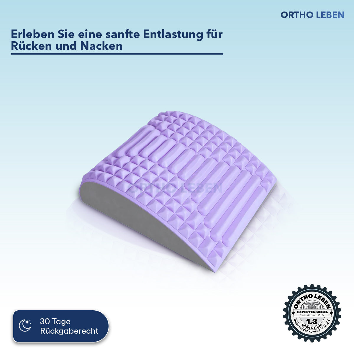 SpinRelax - Rückenstrecker