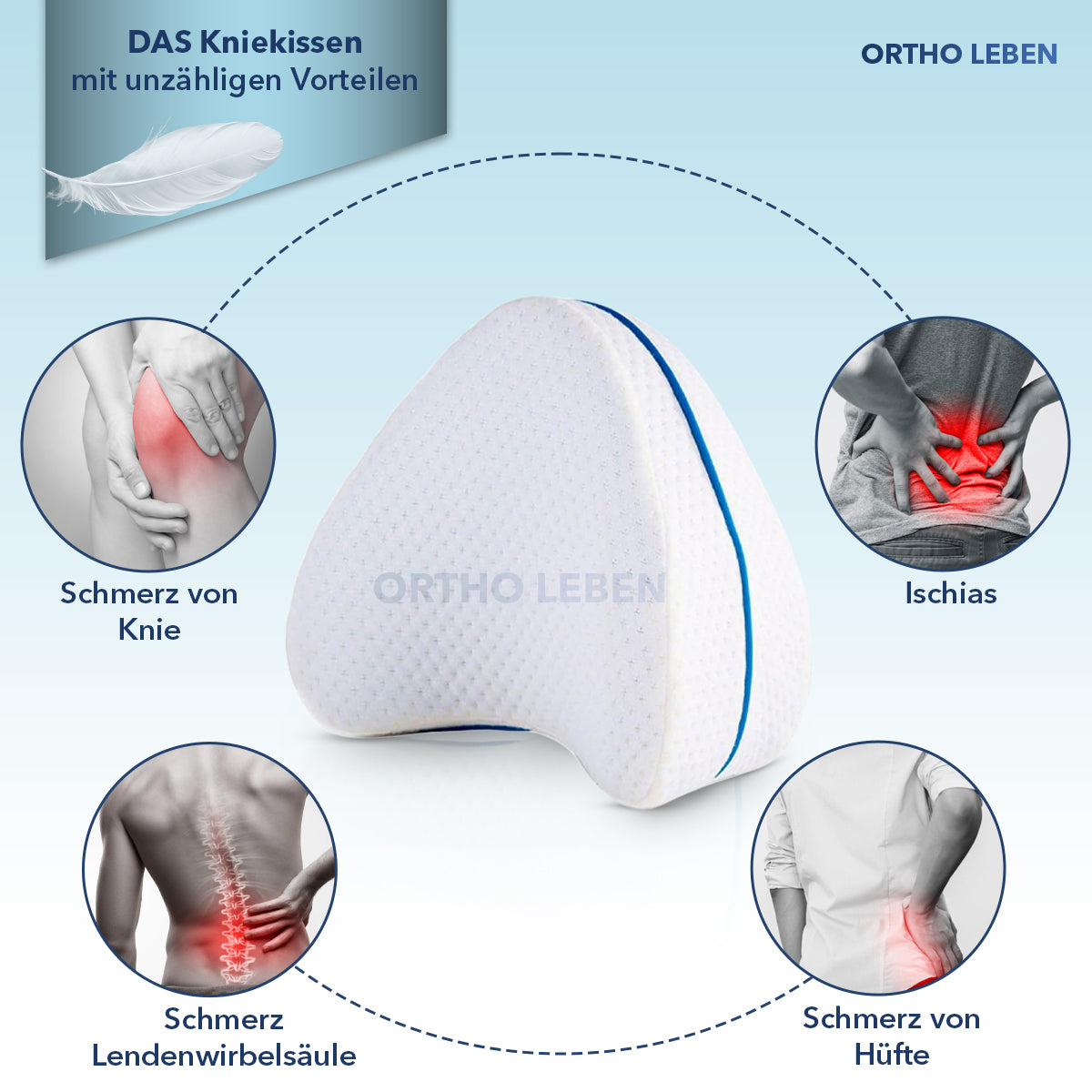 OrthoKnee - Kniekissen