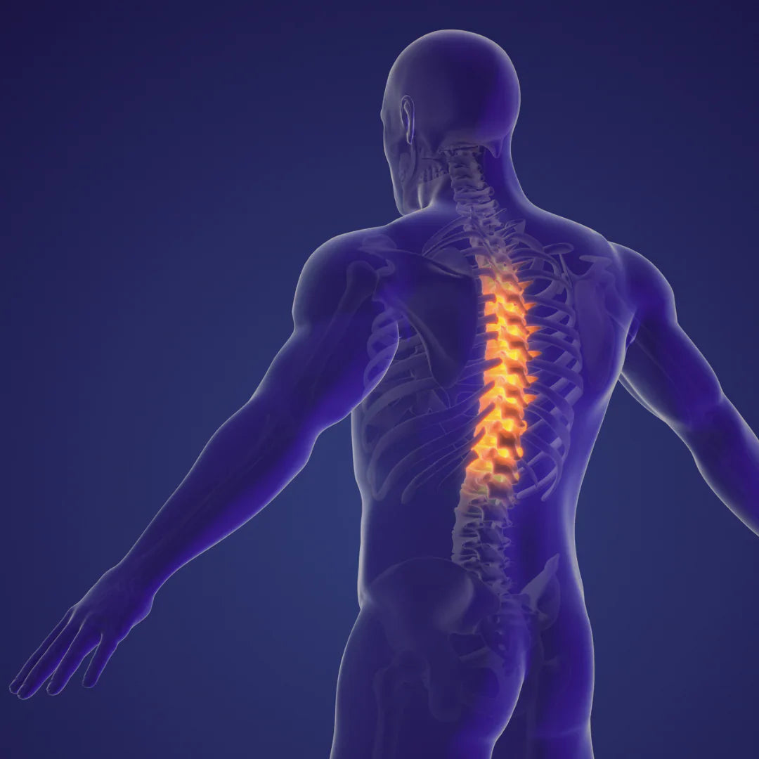 So schlafen Sie sich schmerzfrei – die richtige Haltung für Ihren Rücken