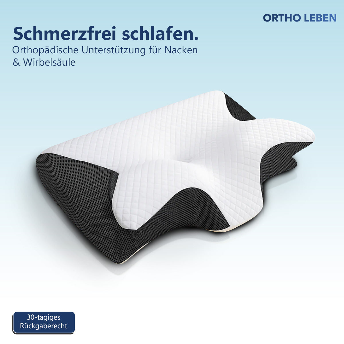 ErgoSleep Memory Kissen