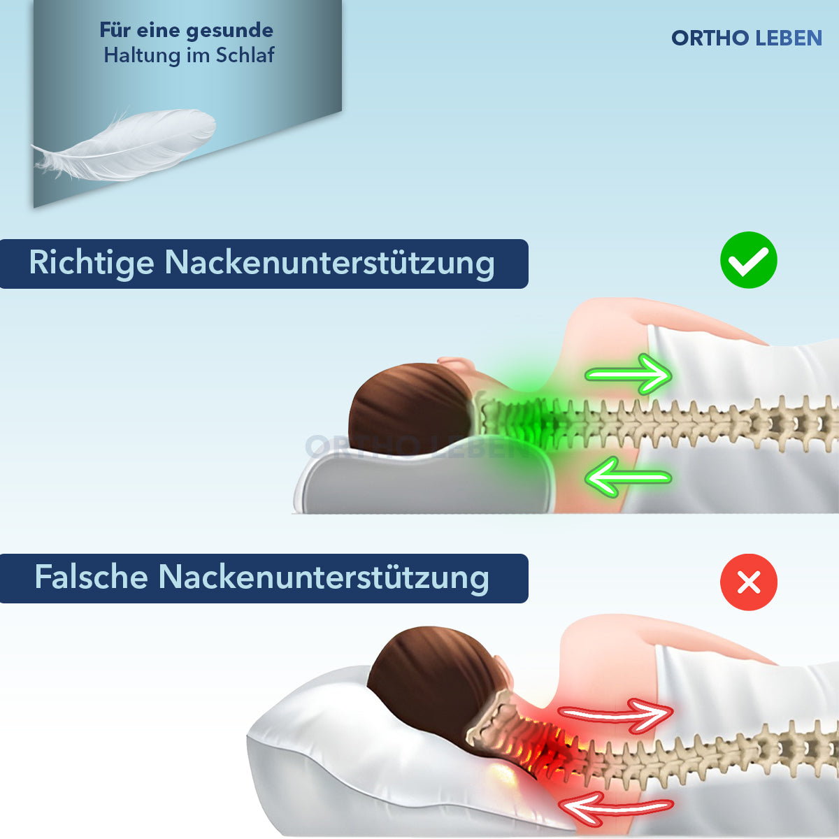 ErgoDream - Memory Kissen