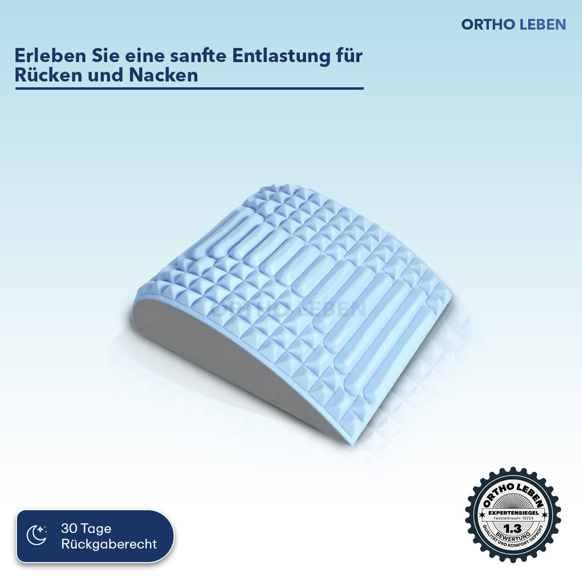 SpinRelax - Rückenstrecker