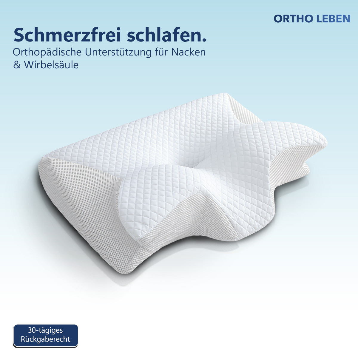 ErgoSleep Memory Kissen