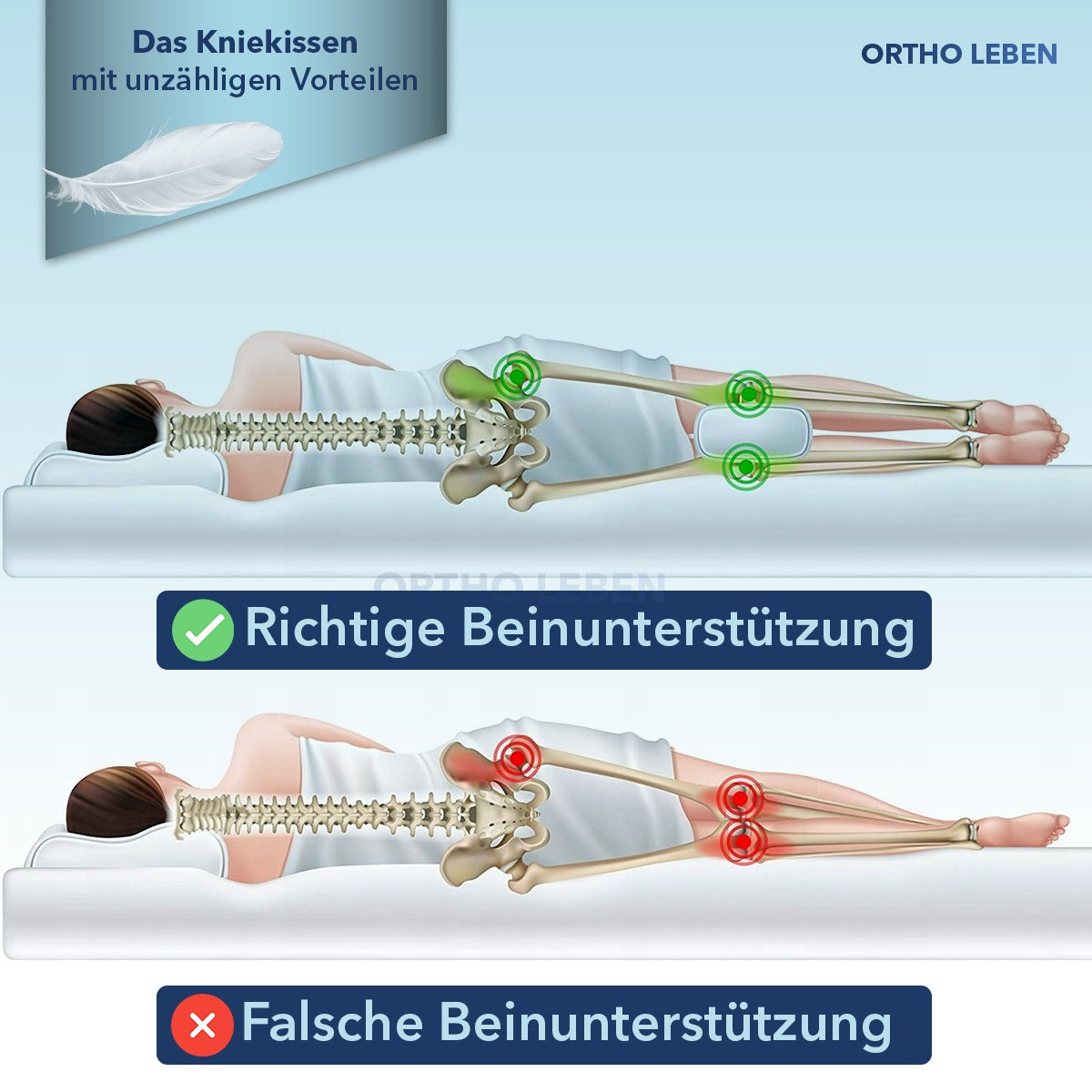 OrthoKnee - Kniekissen